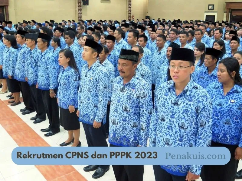 Rekrutmen CPNS dan PPPK 2023 Di Buka Pertengahan Tahun