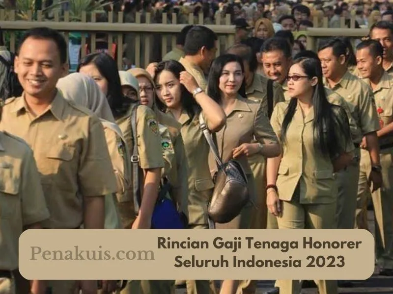 Berikut Rincian Gaji Tenaga Honorer Seluruh Indonesia 2023!